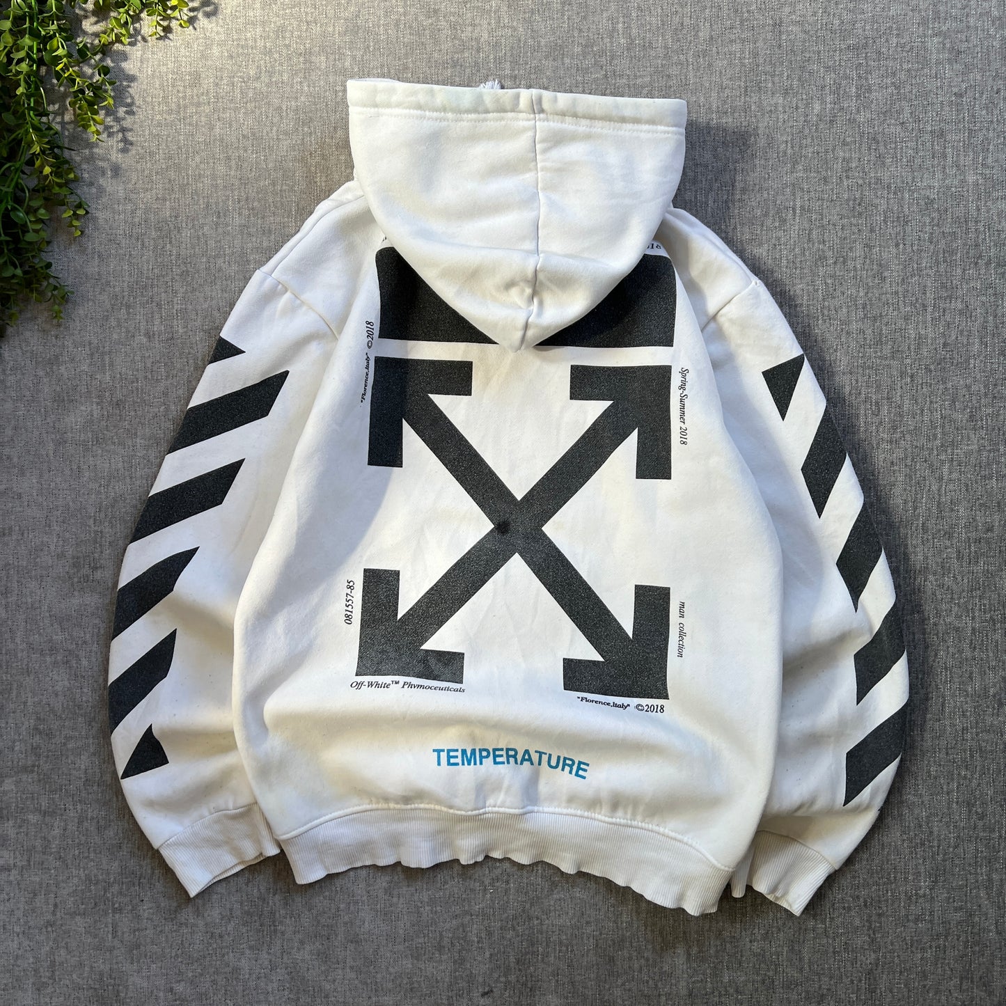 Off White Hoodie