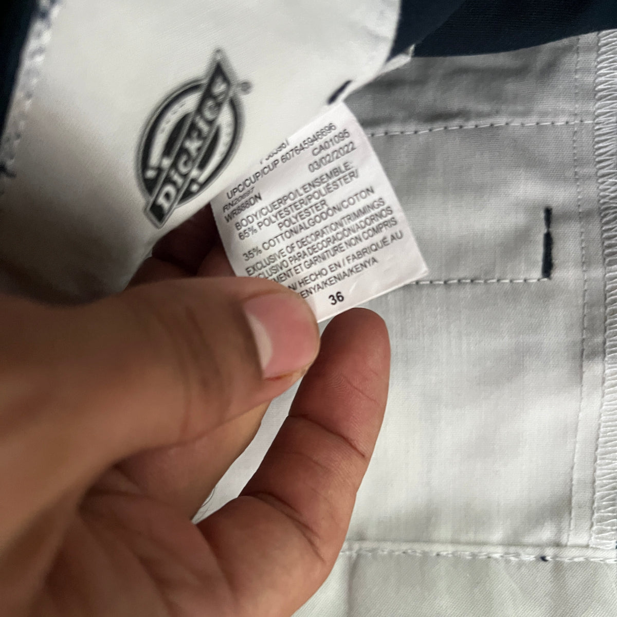 Dickies Cargo Loose Fit