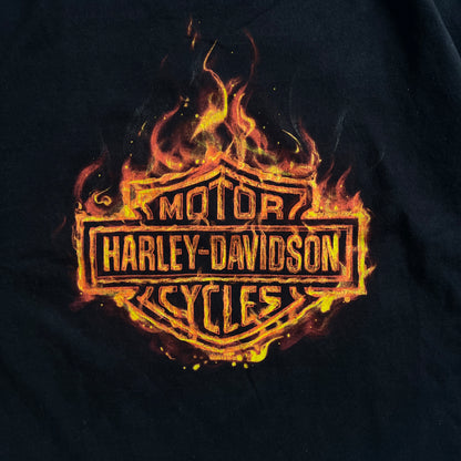 Harley-Davidson Flames Tee