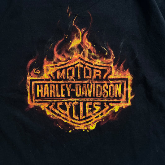 Harley-Davidson Flames Tee