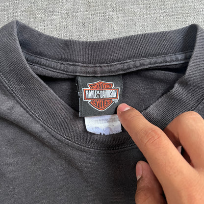 Harley-Davidson Looney Tunes Faded Tee