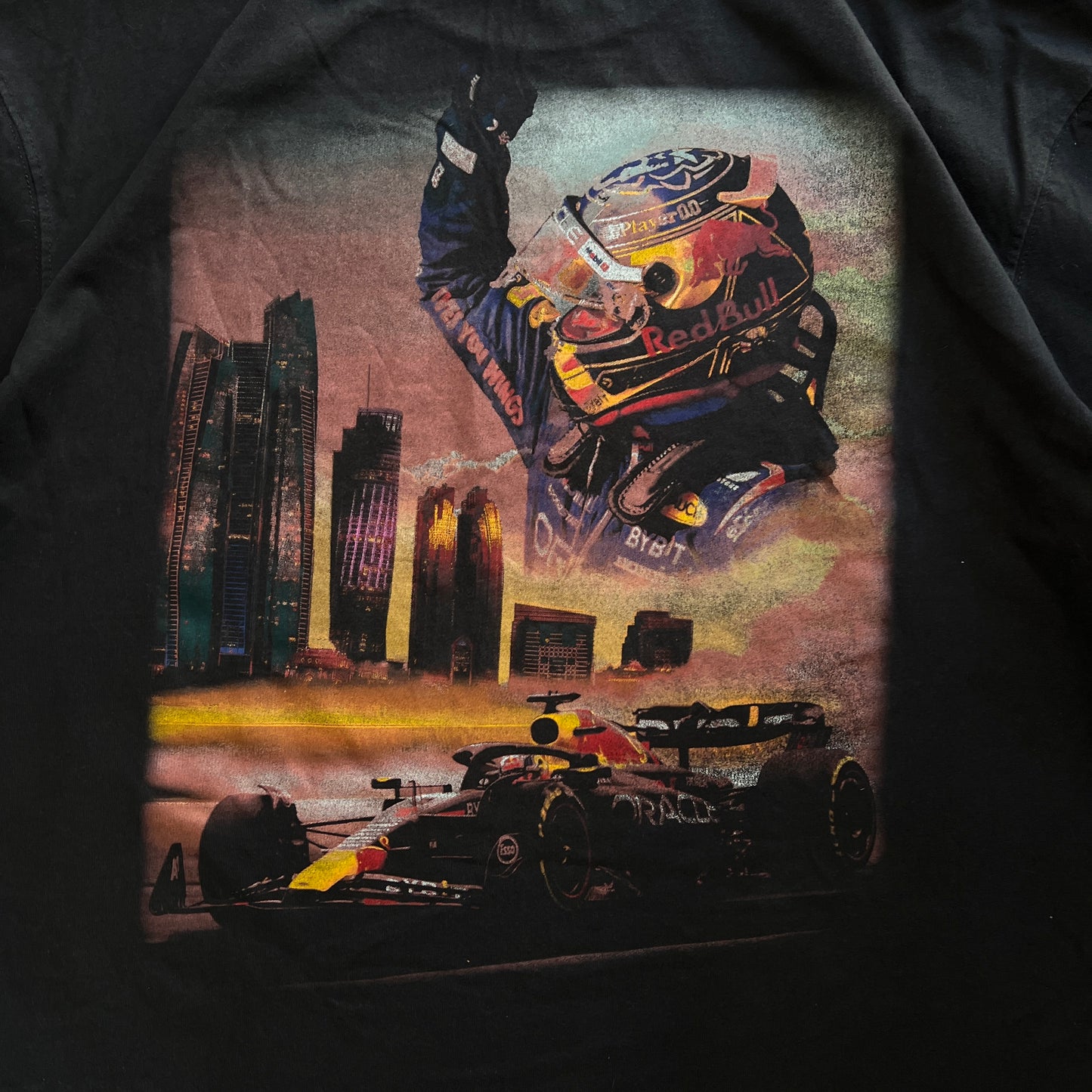 Holister x F1 "Redbull" Tee