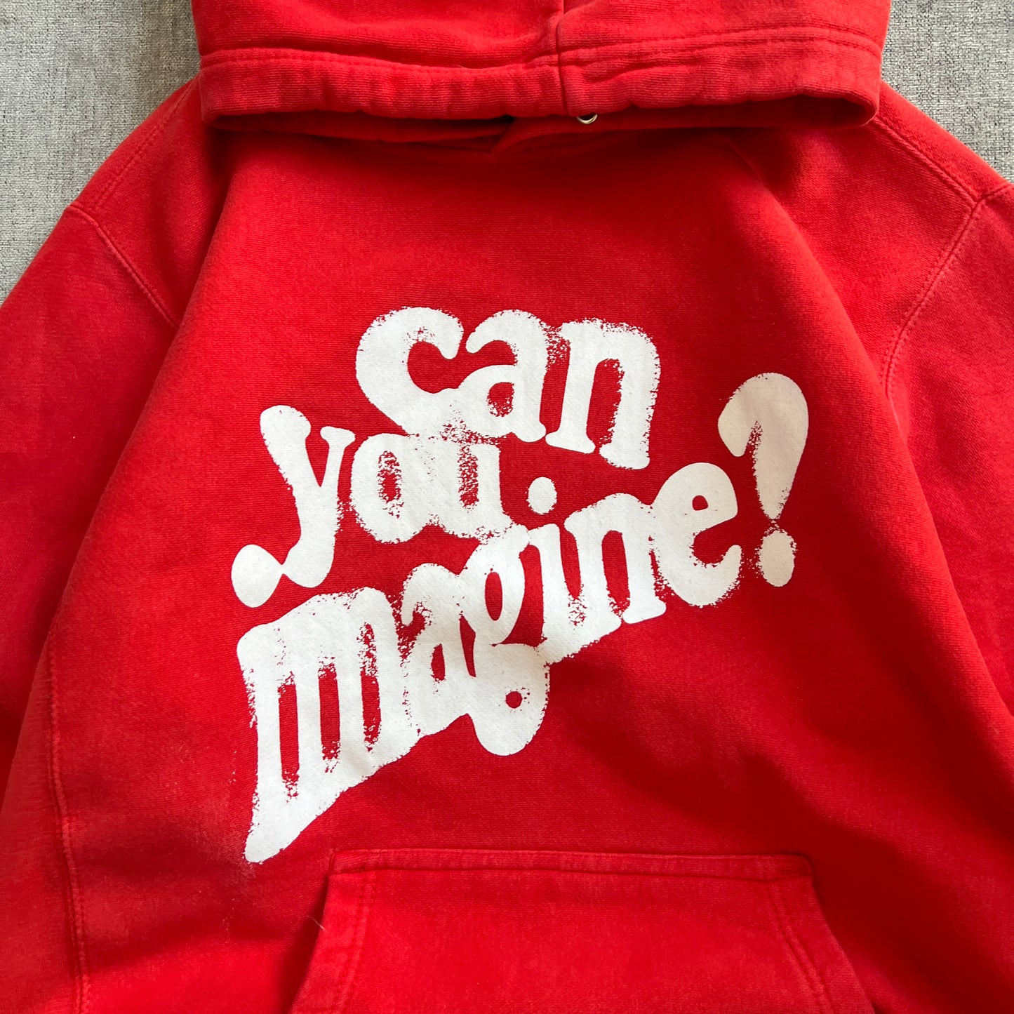 "Can you Imagine" Heavyweight Hoodie