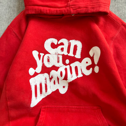 "Can you Imagine" Heavyweight Hoodie