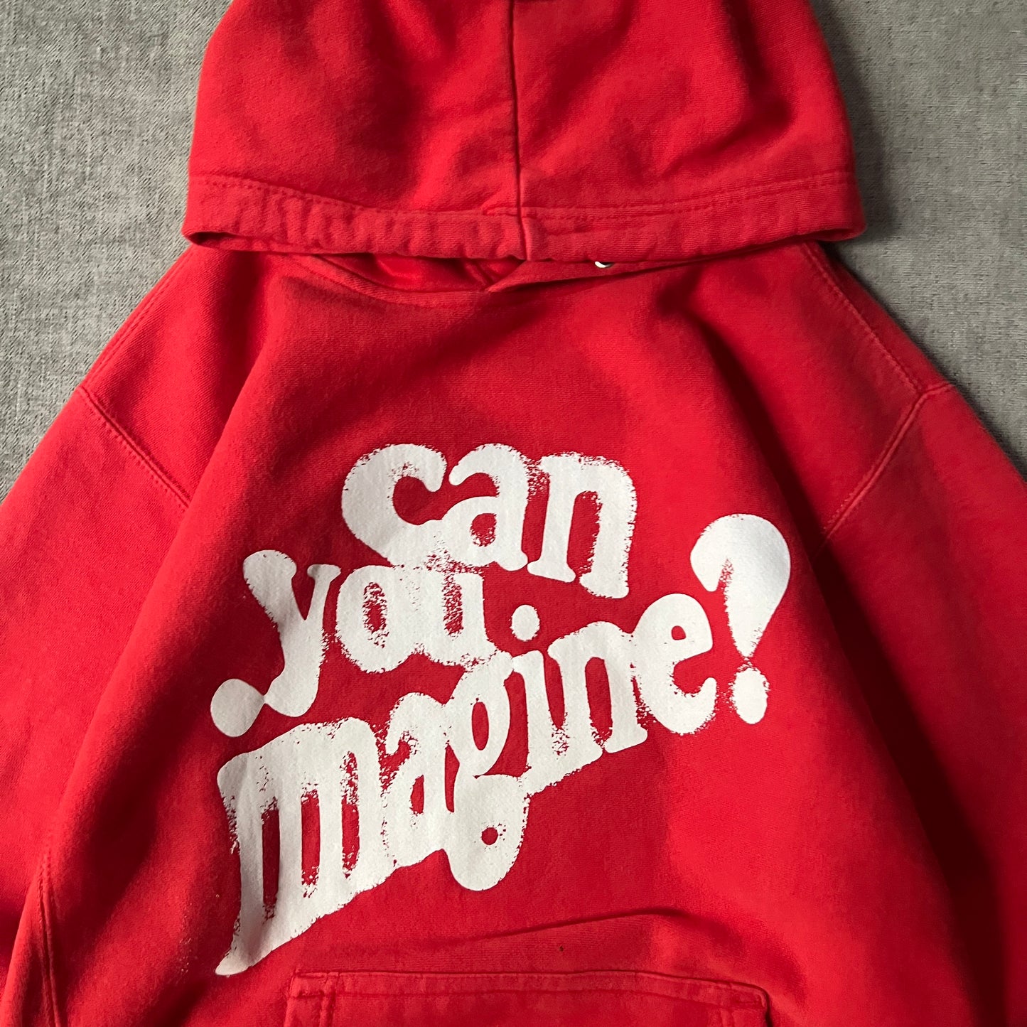 "Can You Imagine?" Boxy Hoodie